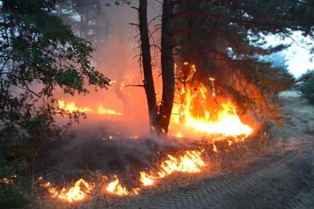 пожары на Луганщине