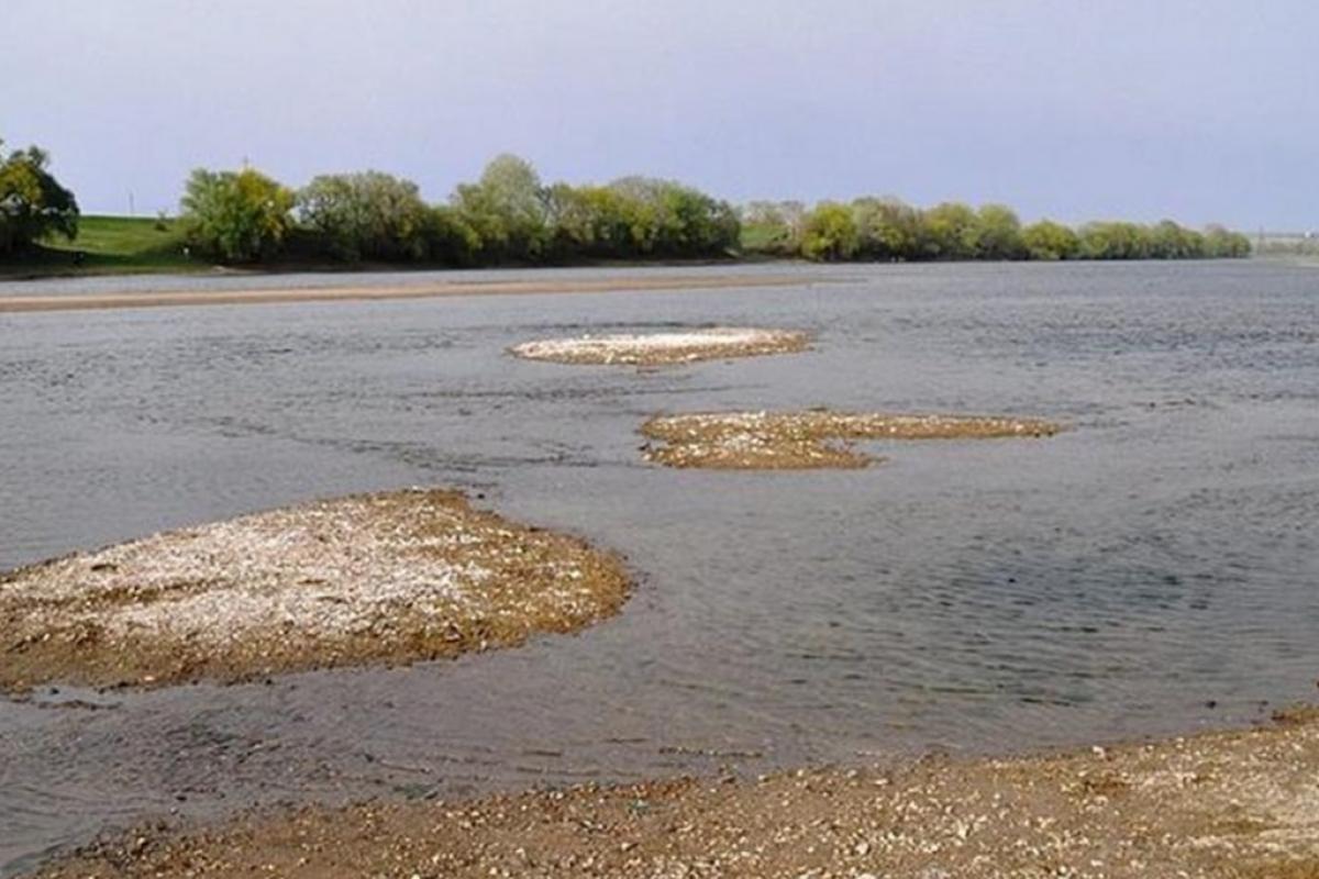 Украине грозит дефицит воды и проблемы с водоснабжением