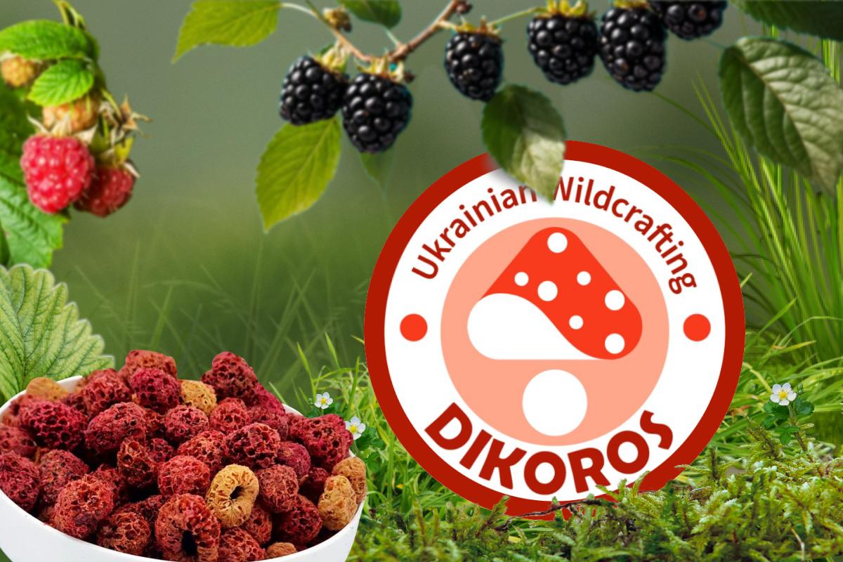 Дикорос