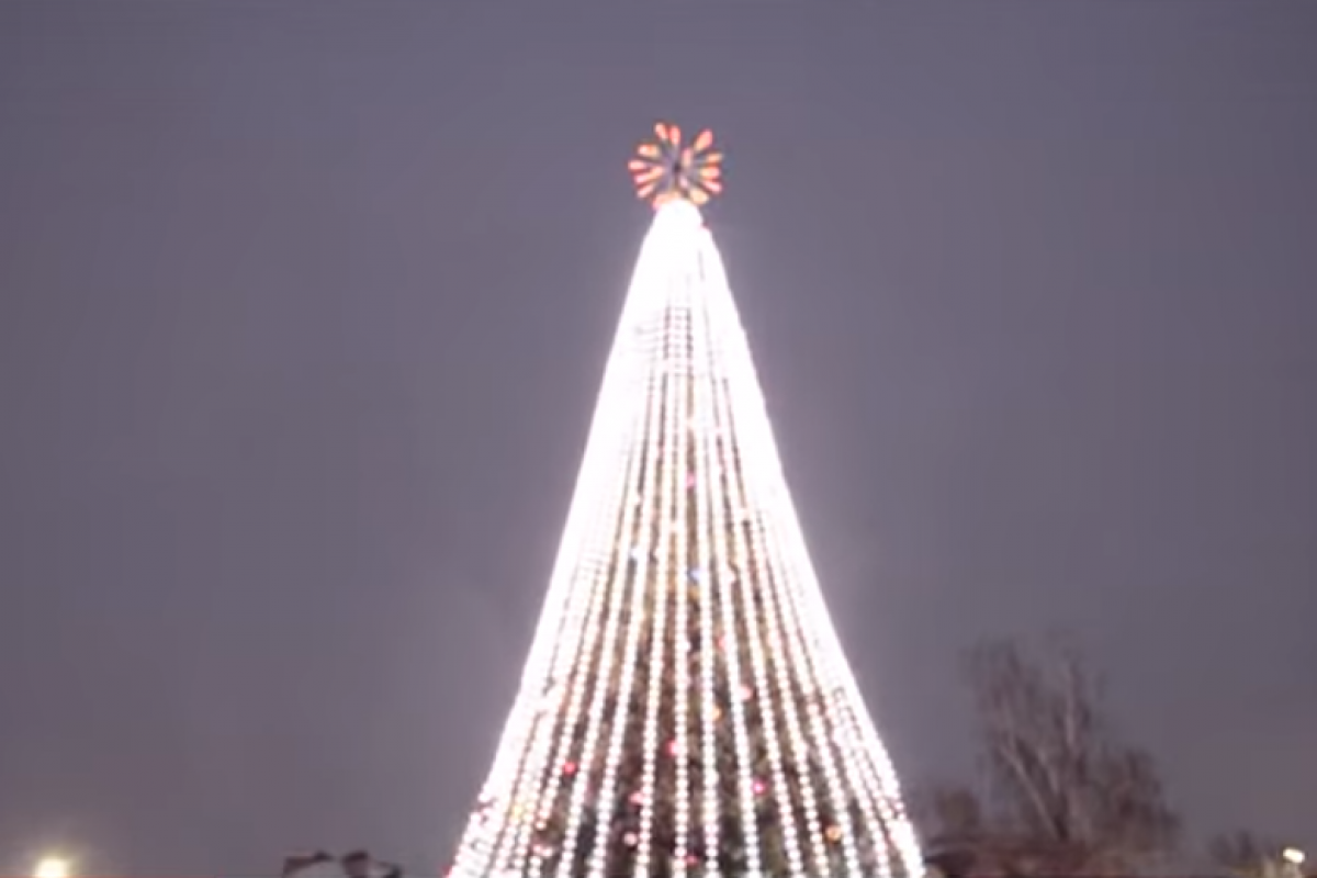 елка в Борисполе