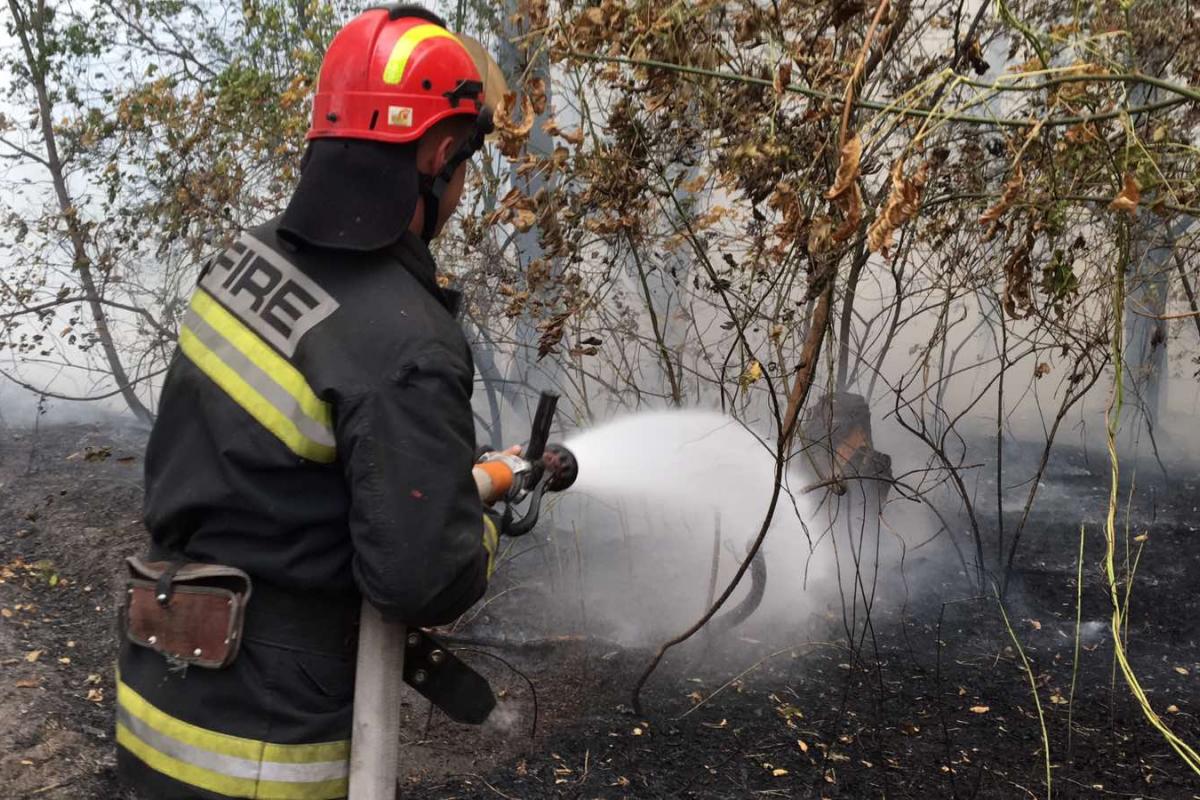 пожары в луганской области