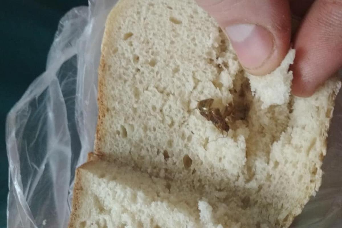 хлеб с тараканом