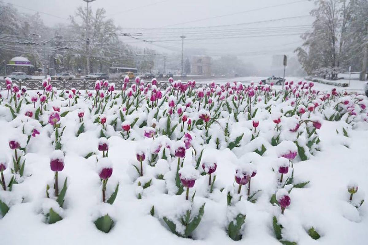 снег в апреле