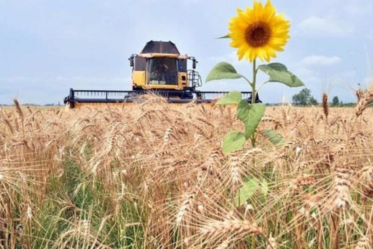 продажа земли в украине