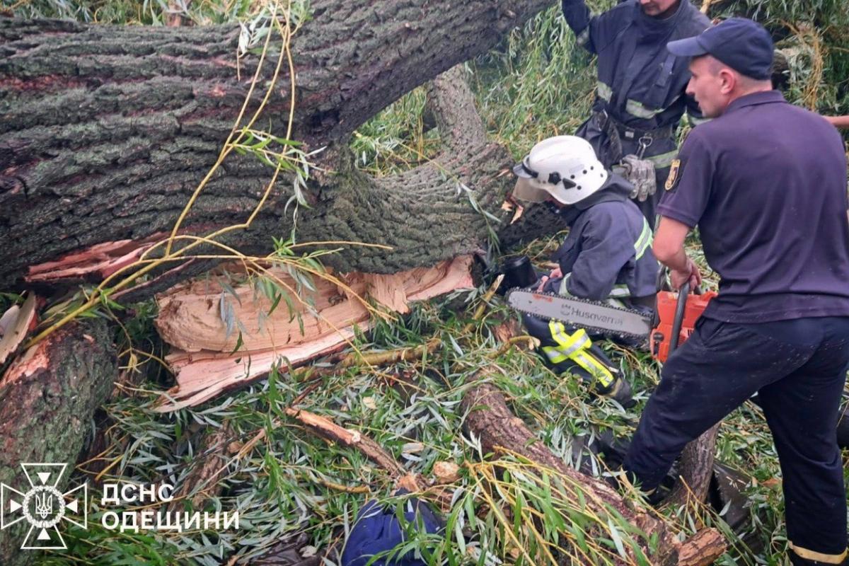 На Одесчине дерево упало на палатку с детьми
