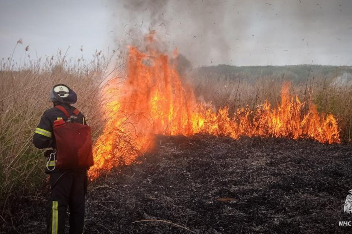 Сьогодні вранці на тимчасово окупованій частині Луганщини зафіксовано масштабну пожежу. Російські пропагандистські джерела повідомляють, що так звані "спасатели МЧС России" намагаються приборкати вогонь у Луганську — загорівся камиш на вулиці Дачній.