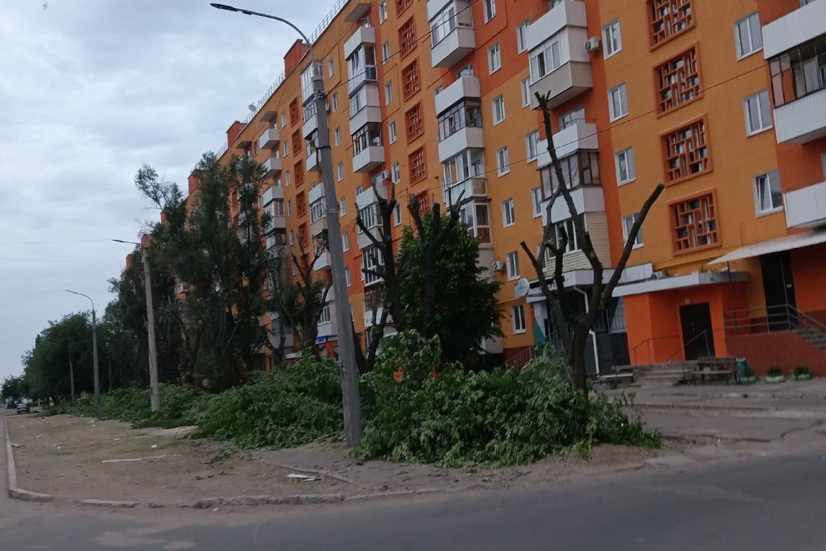 «Як у пустелі»: мешканці Сєвєродонецька скаржаться на варварську обрізку дерев