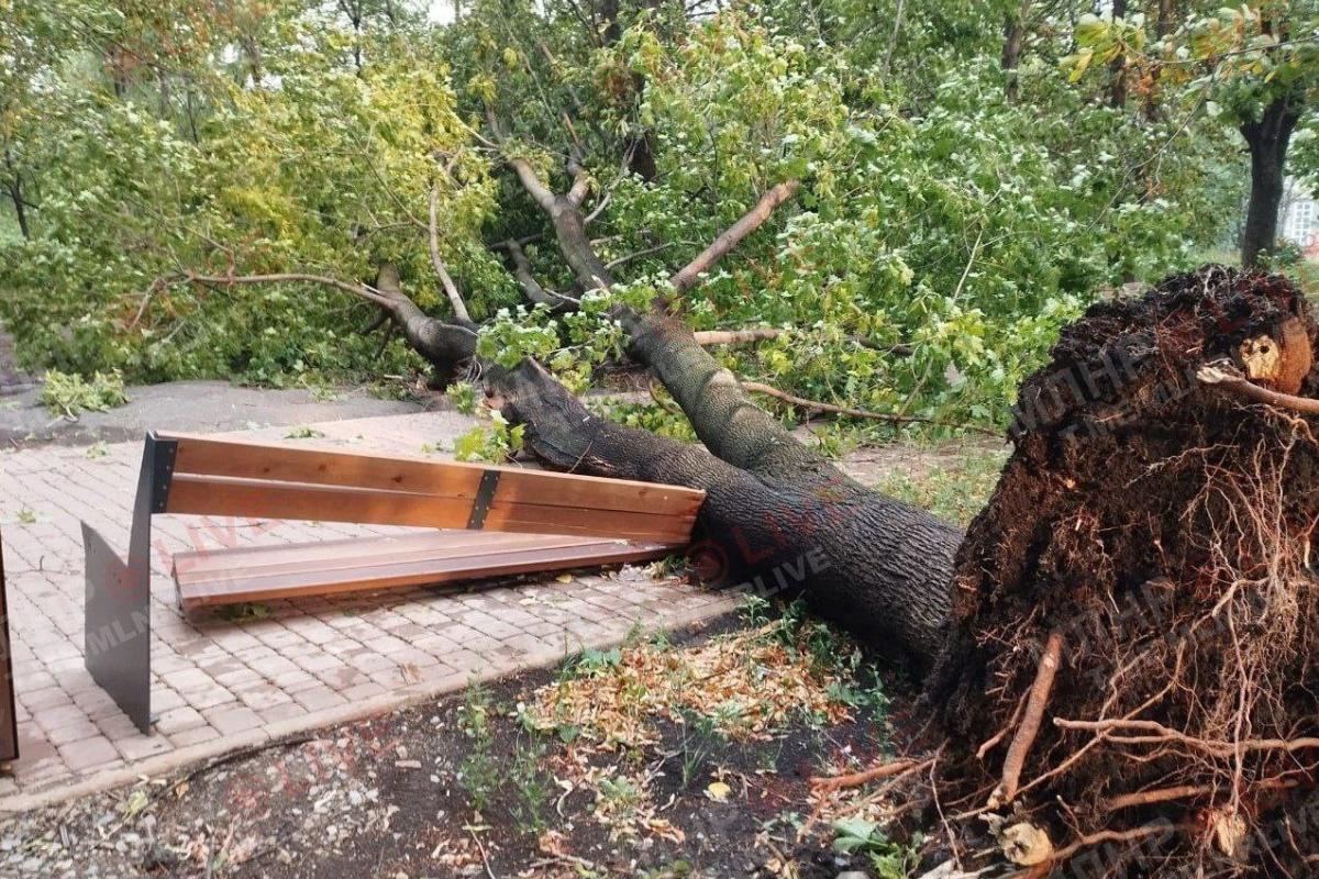 Луганщина без світла і води: буревій залишив після себе хаос