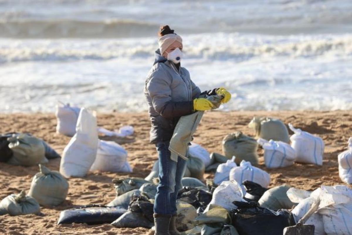 Смертельна хвиля: у Чорному морі гинуть дельфіни, а мазут поширюється далі