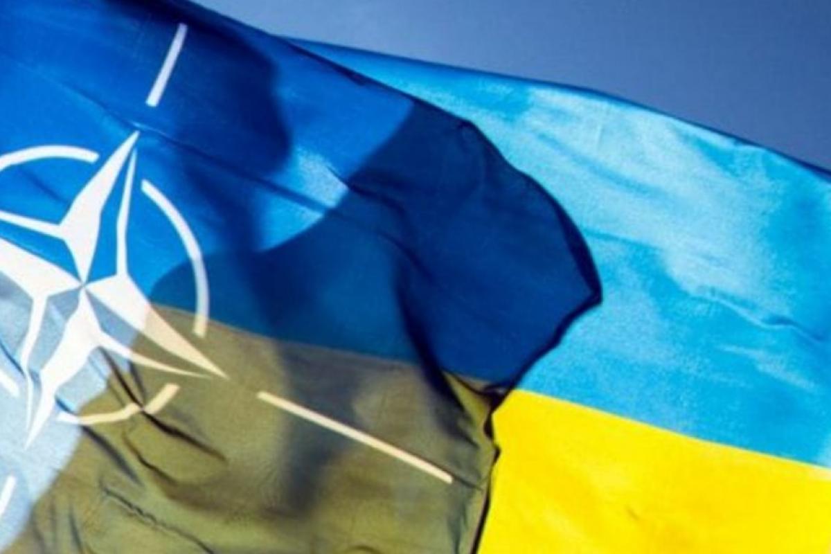 Союзники по НАТО договорились отменить ПДЧ для Украины