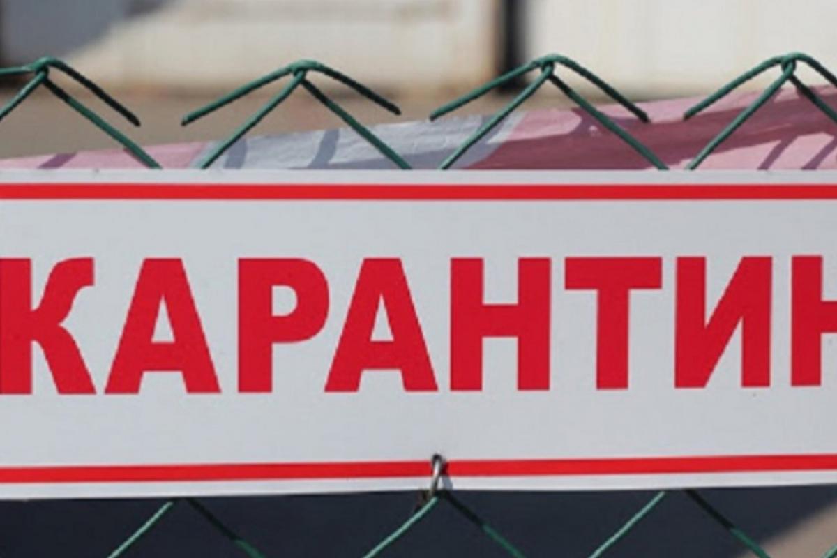 регионы, в которых могут ввести "красную" зону карантина