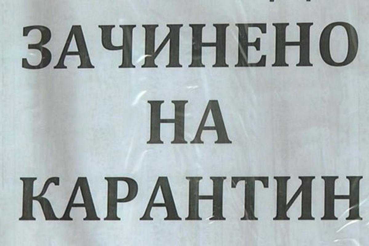 Поддержка бизнеса во время "карантина выходного дня"