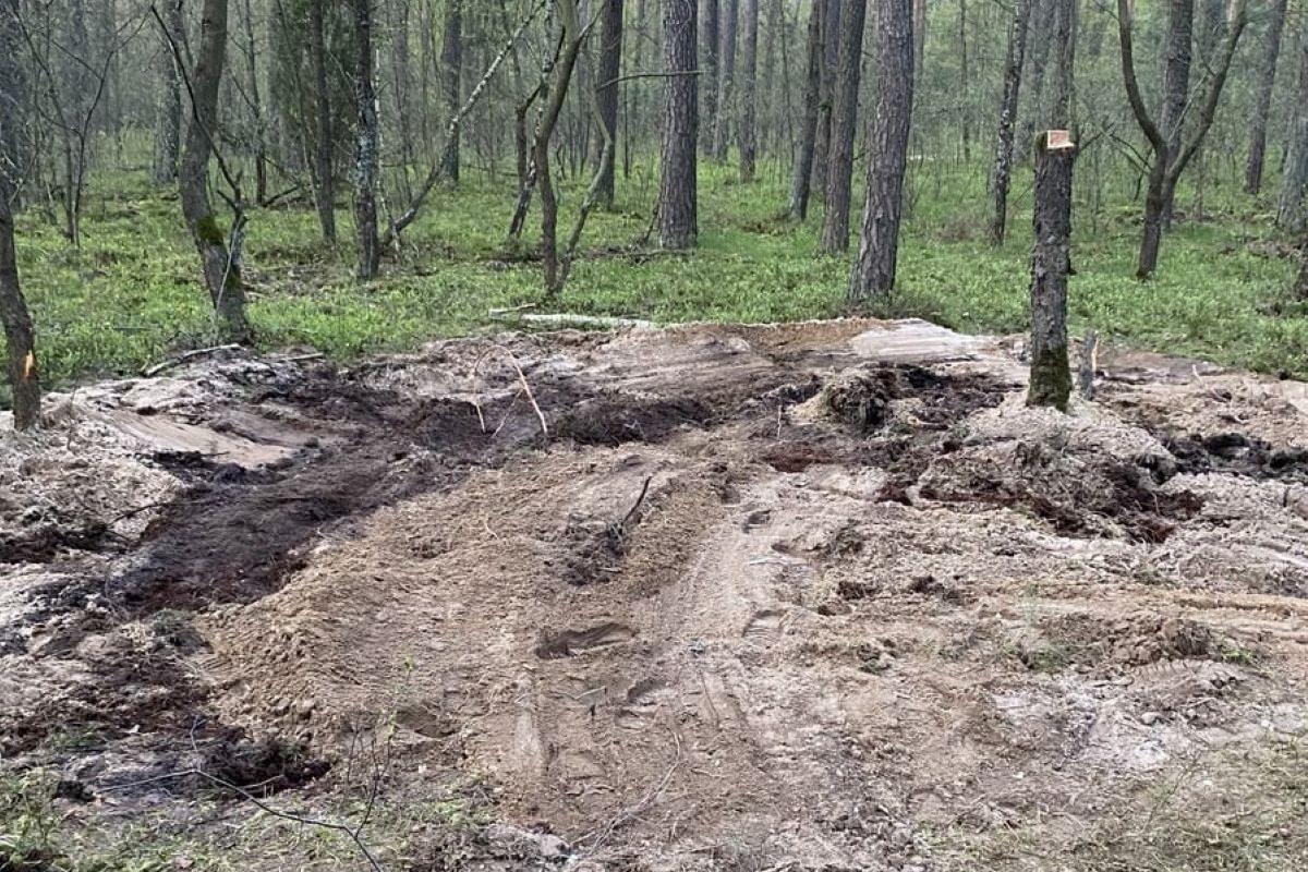 Место, где нашли обломки неопознанного объекта / Фото: соцсети