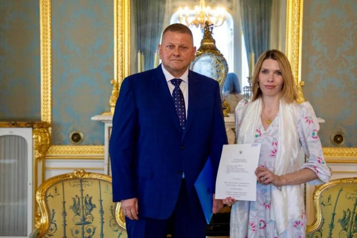 Залужный приступил к исполнению обязанностей посла Украины в Великобритании