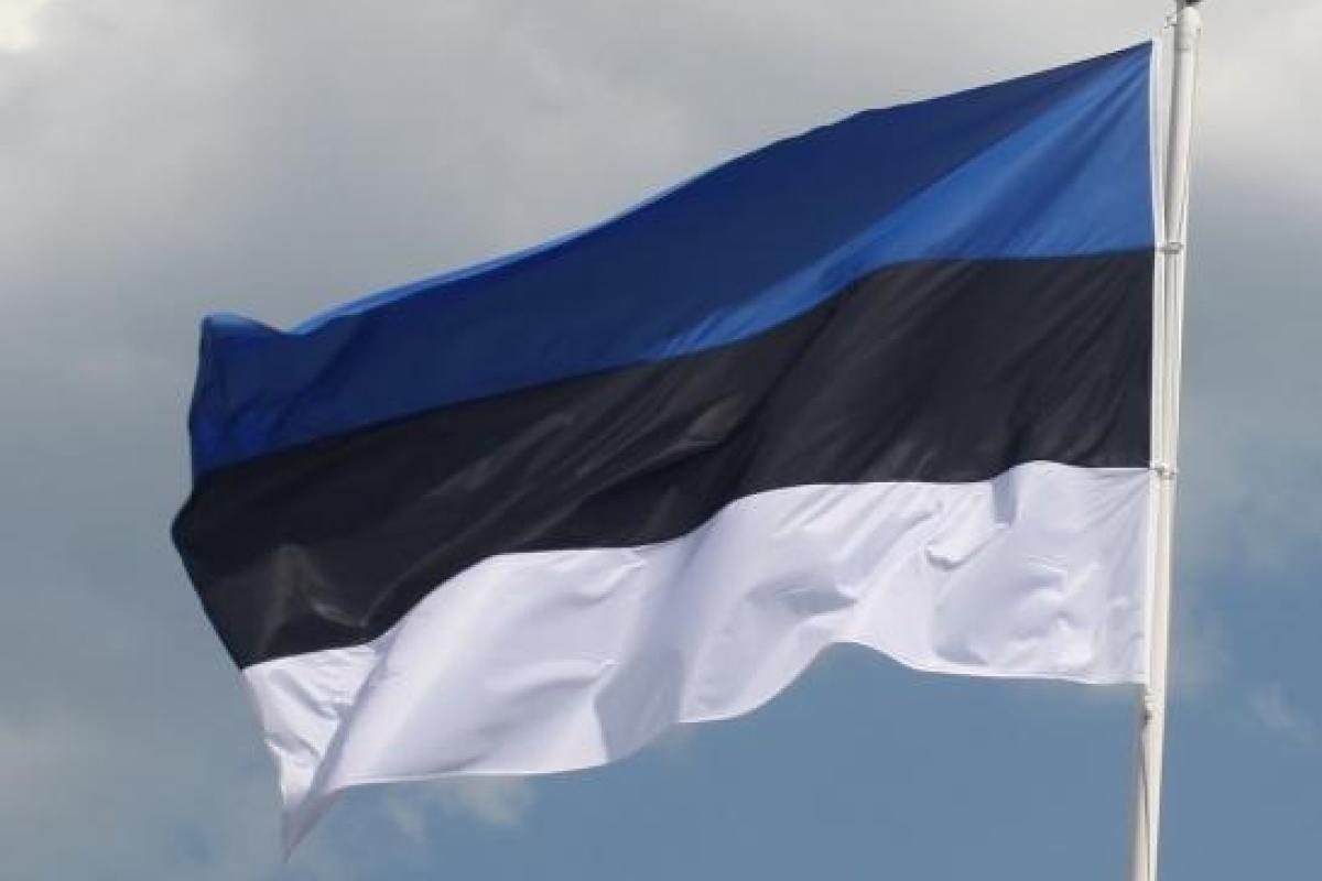 Эстония, День независимости