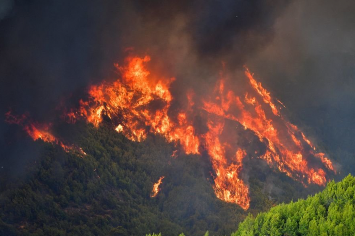 Греция, лесные пожары