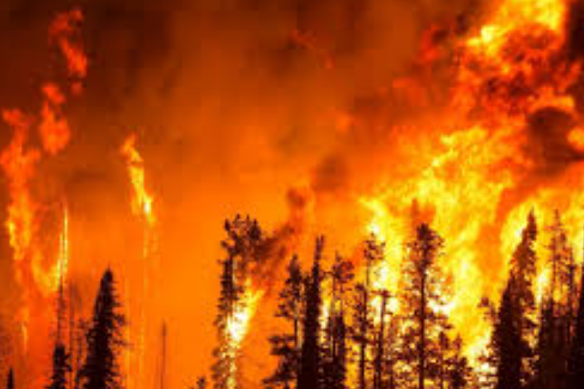 В Якутии горят леса