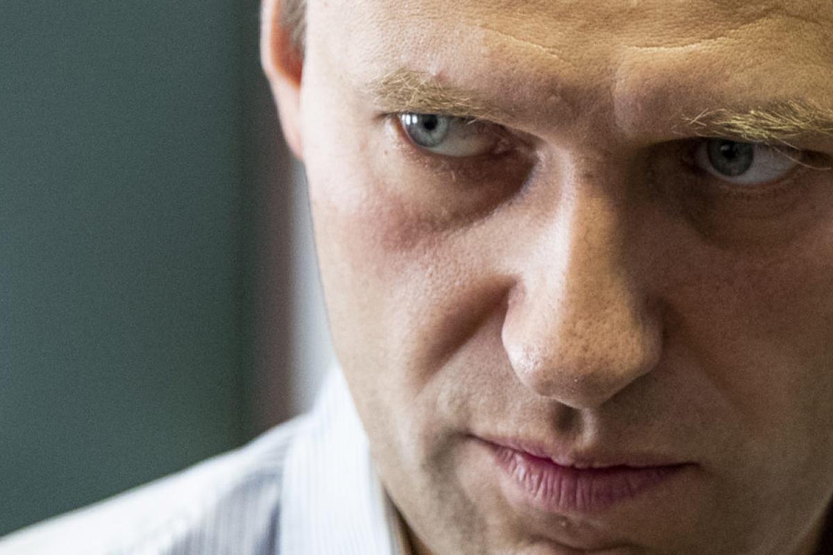 Навальный, розыск