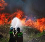 Луганщина горить: понад 40 гектарів знищено вогнем за добу