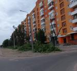«Як у пустелі»: мешканці Сєвєродонецька скаржаться на варварську обрізку дерев