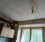 "Життя під плівкою: мешканка Лисичанська показала свою квартиру та умови проживання в ній