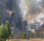 Северодонецк, лесные пожары
