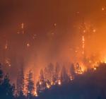 В России бушуют масштабные лесные пожары