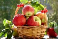 Чем полезны яблоки?