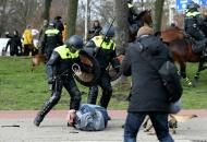 полиция нидерланды