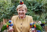меркель и попугаи