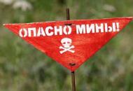Иллюстративное фото / Открытый источник