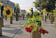 Инсталляция с подсолнухов в Полтаве / Фото:"Суспільне"