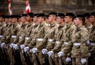 армия дании