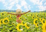 Погода 29 липня: грози на Заході, Півночі та Центрі, спека до +36°C