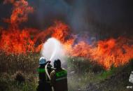 Луганщина горить: понад 40 гектарів знищено вогнем за добу