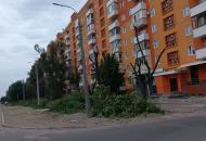 «Як у пустелі»: мешканці Сєвєродонецька скаржаться на варварську обрізку дерев