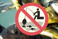 В Северодонецке введен запрет на вылов рыбы в озере "Парковое"