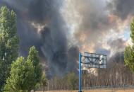 Северодонецк, лесные пожары