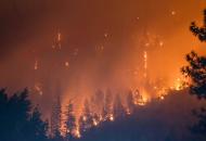 В России бушуют масштабные лесные пожары