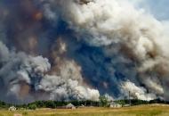 Луганская, экология, лесные пожары