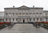 Сенат Ирландии