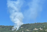На юге Франции вспыхнули лесные пожары
