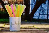 В Великобритании с 1 октября запрещены пластиковые соломинки и ватные палочки