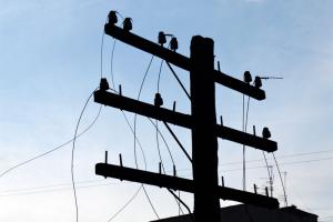 Из-за непогоды на Луганщине без света остались более десятка населенных пунктов