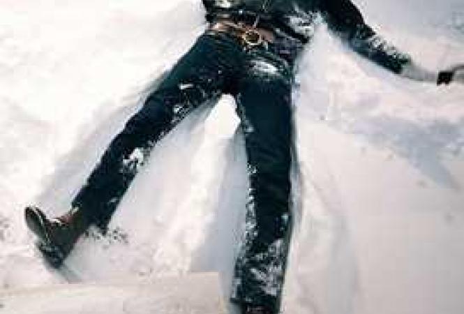 лежащий на снегу
