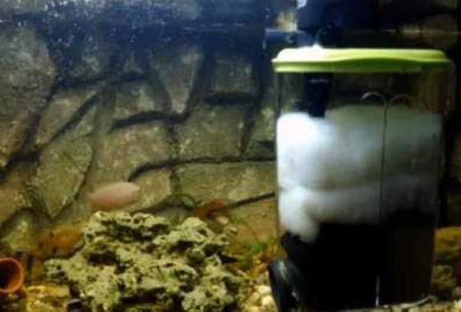 Что такое внешний фильтр для аквариума