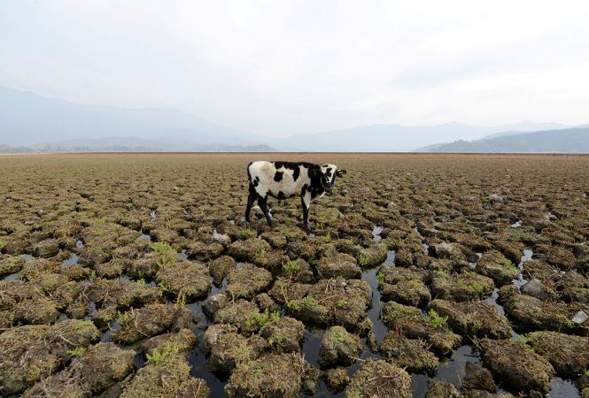 Какая часть суши уйдет под воду