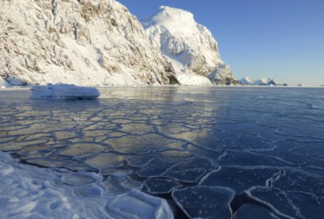 ООН признала новый температурный рекорд в Антарктиде