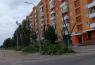 «Як у пустелі»: мешканці Сєвєродонецька скаржаться на варварську обрізку дерев