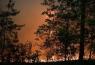 В двух районах оккупированной Луганщины введен режим ЧС из-за лесных пожаров